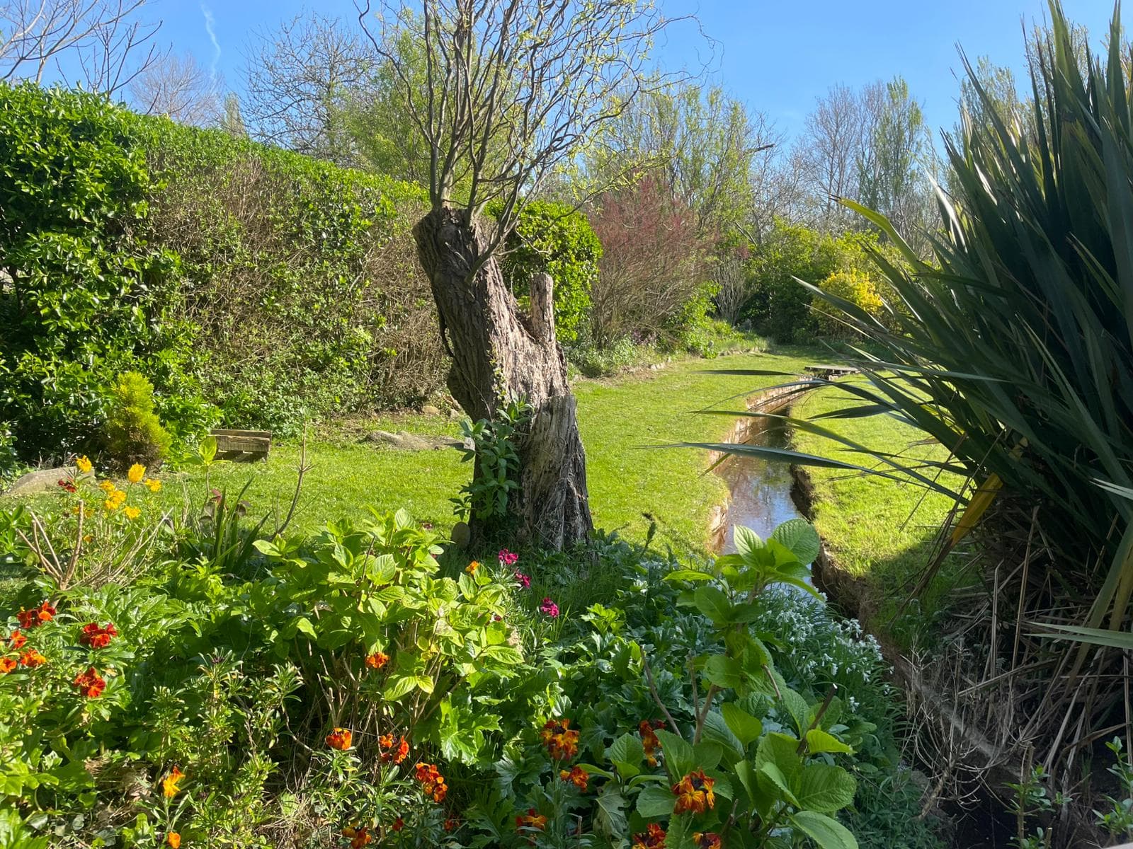 Pelouse entretenue à Névez, Finistère