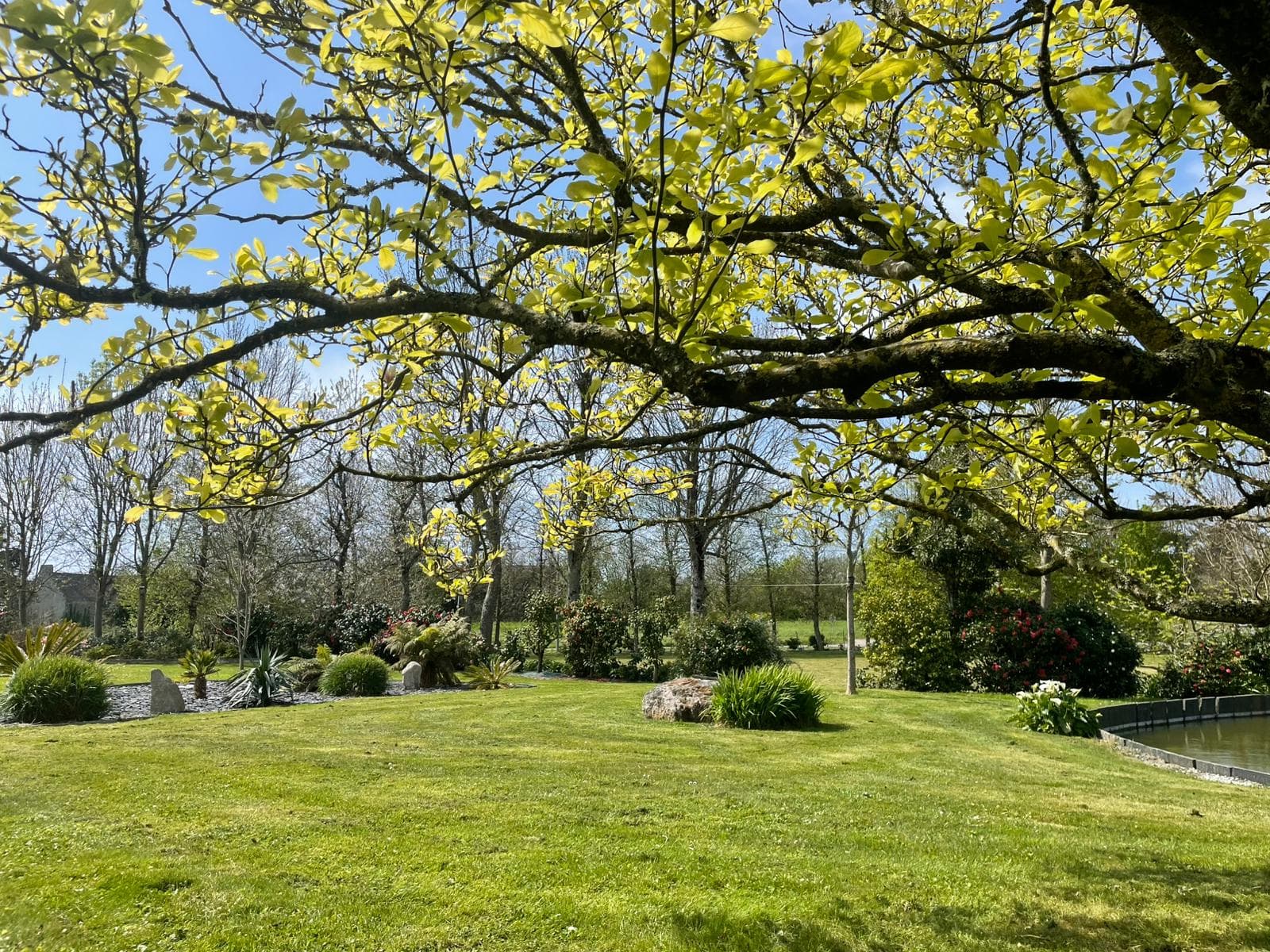 Prestation Création & aménagement paysager par Taille & Tonte en Finistère Sud